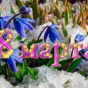 ���� �����, ���� - ��������� 7 ����� 2026 � ������ ������ ��������