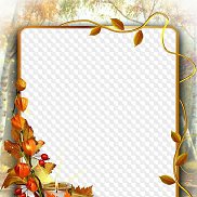 ������, 41 ���, ���������