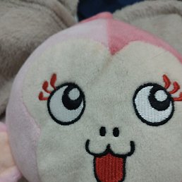 �����, ����������, 42 ����