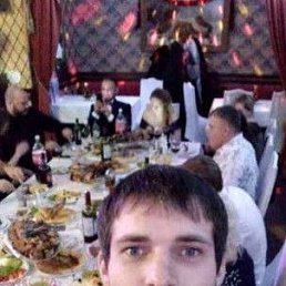, 40, 