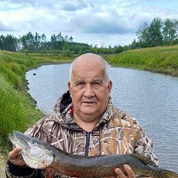 �����, ������, 65 ���