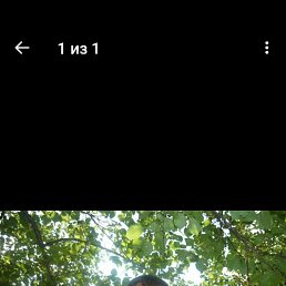 , 54, --