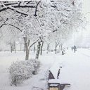 ���� ��������, �����, 68 ��� - ��������� 9 ������ 2026 � ������ ������ ��������