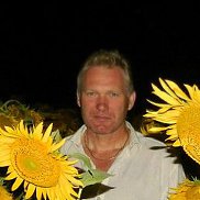 ������, 41 ���, ����