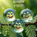 ���� ������, �����-���������, 70 ��� - ��������� 12 �������� 2025 � ������ ���� ����������