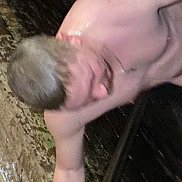 ����, 42 ����, �����