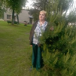 , 59, 