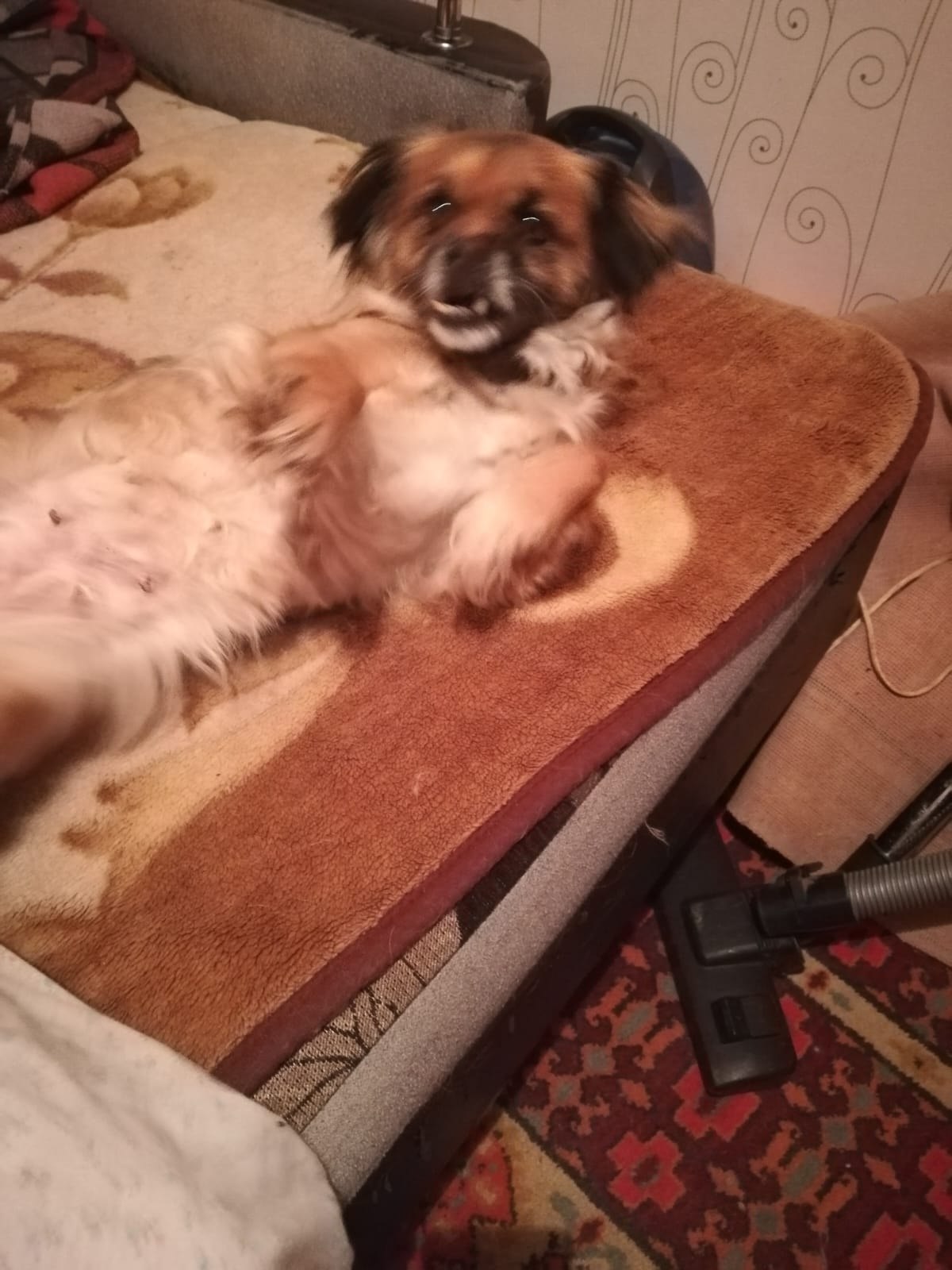 Wladimir - 13  2025  20:39