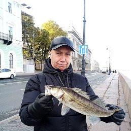 ���� ������, �����-���������, 54 ���� - ��������� 29 ������� 2023