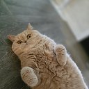 ���� ������, �����������, 47 ��� - ��������� 2 ������� 2025 � ������ ���� ����������