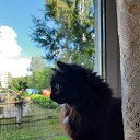���� ��������, ����������� - ��������� 6 ������� 2025 � ������ ������ ��������