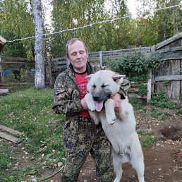 ���� ������, �����-���������, 46 ��� - ��������� 29 ������ 2023