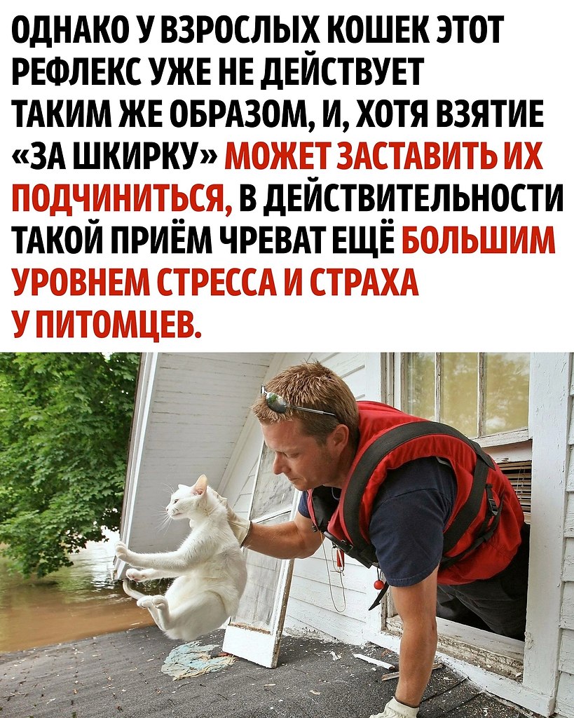     - 2
