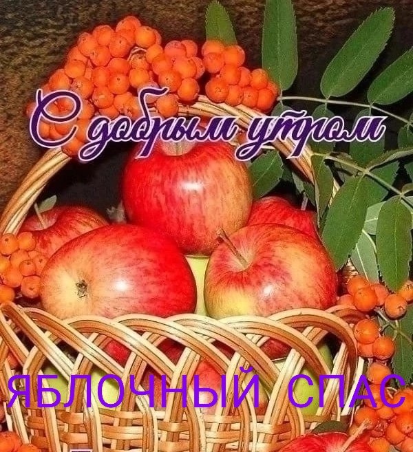   ,    . - 18  2025  23:08