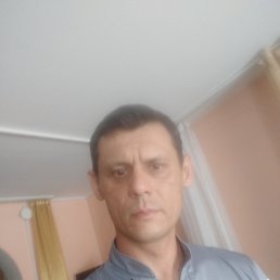 , 40, 