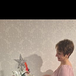 �����, 44 ����, �����-���������