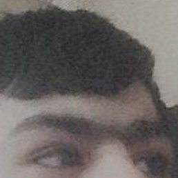 , 29, 