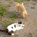 ���� �������, �������, 46 ��� - ��������� 23 ���� 2026 � ������ ���� ����������