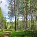 ���� ��������, joensuu - ��������� 10 ������ 2023 � ������ ���� ����������
