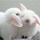 ���� ����, ���, 43 ���� - ��������� 5 ������� 2024 � ������ ������ ��������