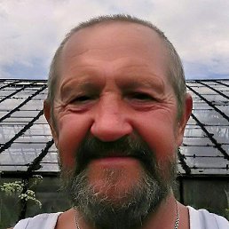 �������, �������, 71 ���