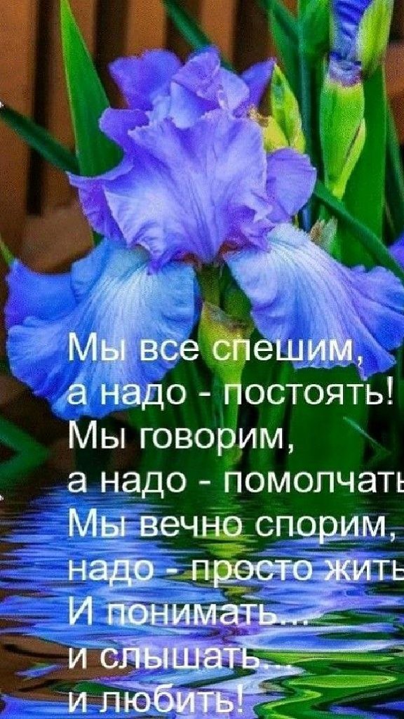 ₪╬═►  ||  ||  ◄═╬₪ - 8  2025  08:55