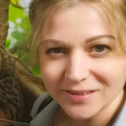 ����, ������������, 41 ���