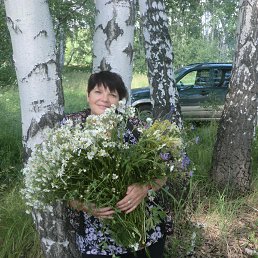 , 65, 