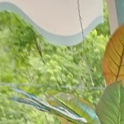 , 43 , 