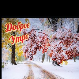 ���� ������� ��������, ������, 54 ���� - ��������� 10 ������ 2024