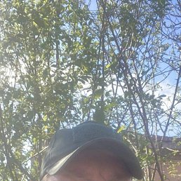 , 37 , -