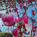 ���� ����, ���������, 51 ��� - ��������� 7 ������ 2025 � ������ ������ ��������