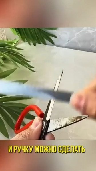  ,     - 2