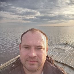 ����, 42 ����, �����������