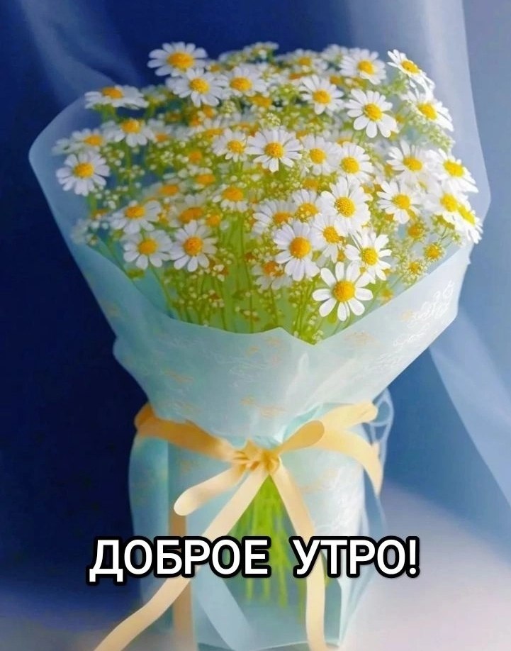  ,    . - 6  2025  22:49