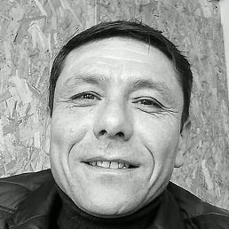 ������, ������, 40 ���