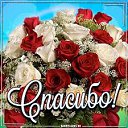 ���� Hakan, �������, 55 ��� - ��������� 18 ������ 2026 � ������ ������ ��������