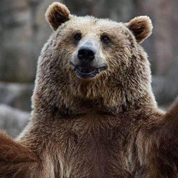  Alex  , -- -  31  2025