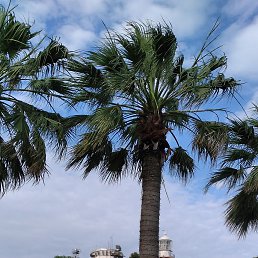 ���� �������, �������� - ��������� 24 ���� 2024