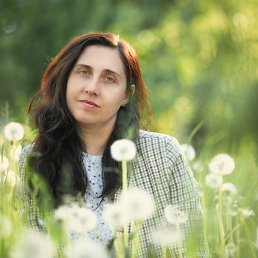 ���������, 41 ���, �����