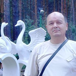 , 65, 