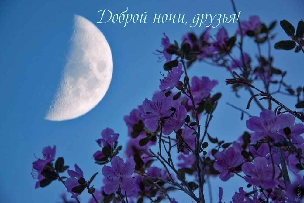   ,    . - 2  2025  22:00