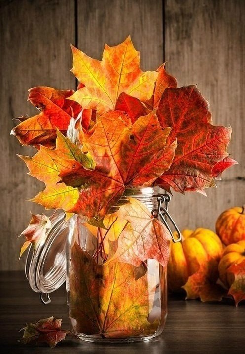      ,     ,  ,      ... - 6