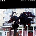 ���� Stepan, ��������, 33 ���� - ��������� 14 ������� 2023 � ������ ���� ����������