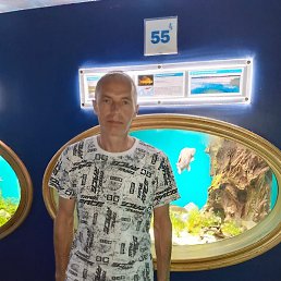 �����, �����������, 50 ���