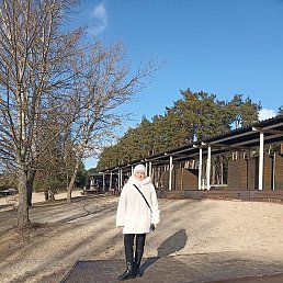 �������, ��������, 55 ���