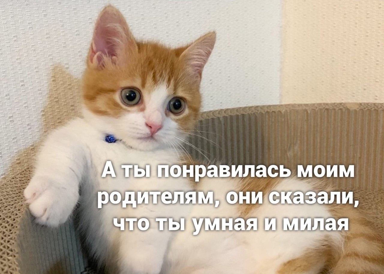 ���� � �� ��������