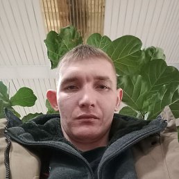 , 30, 
