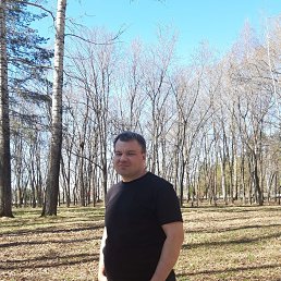 , 37, 
