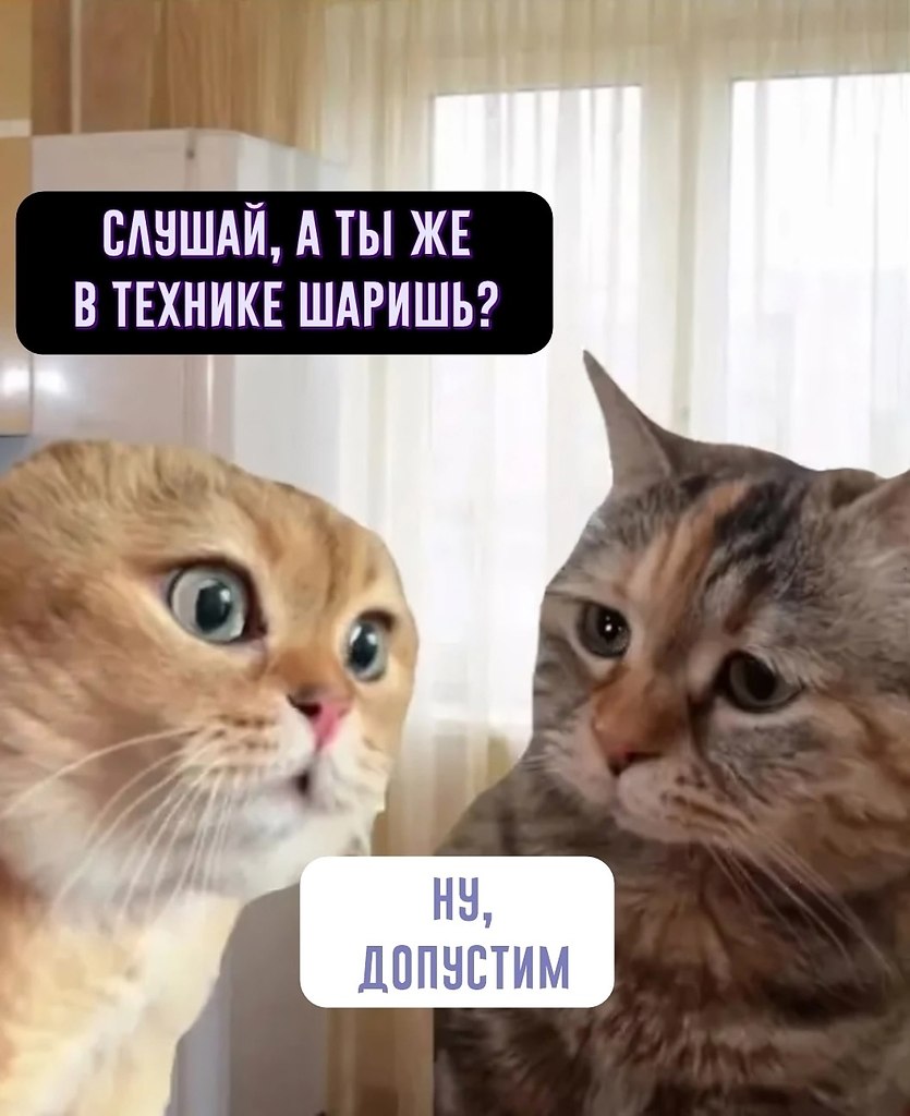   , ?